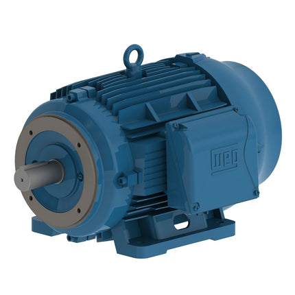 Weg W22 Motor