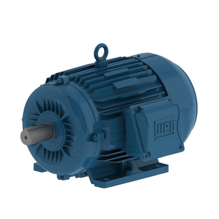 Weg W22 Motor