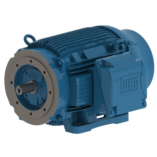 Weg W22 Motor