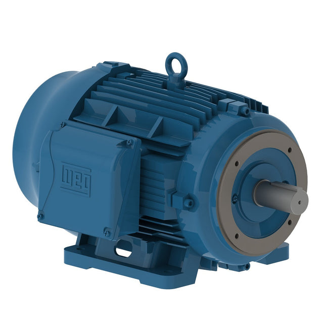 Weg W22 Motor