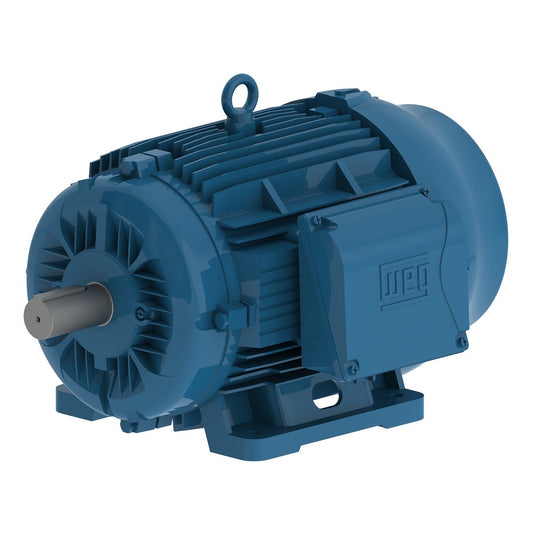 Weg W22 Motor