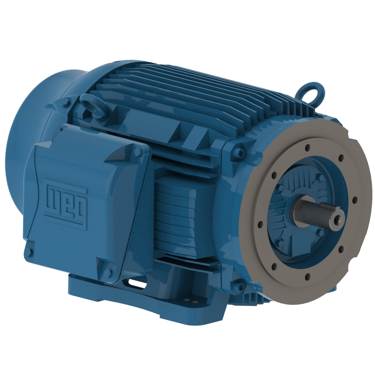 Weg W22 Motor