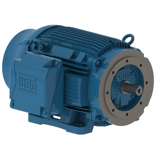 Weg W22 Motor