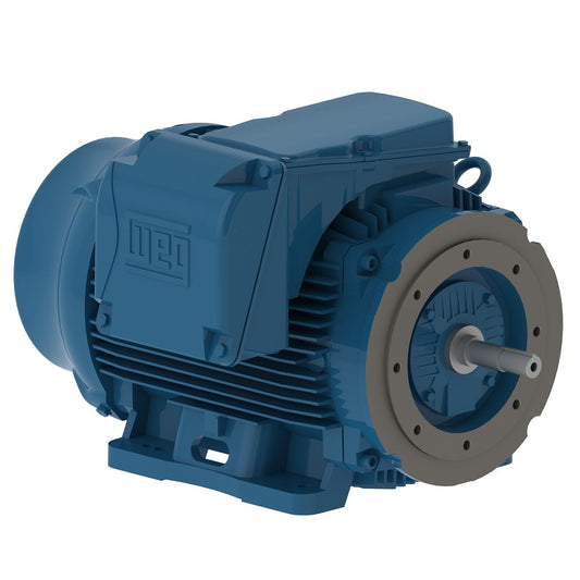 Weg W22 Motor