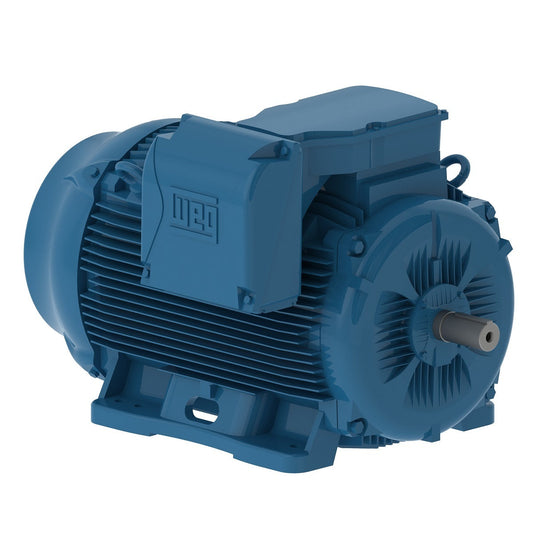 Weg W22 Motor