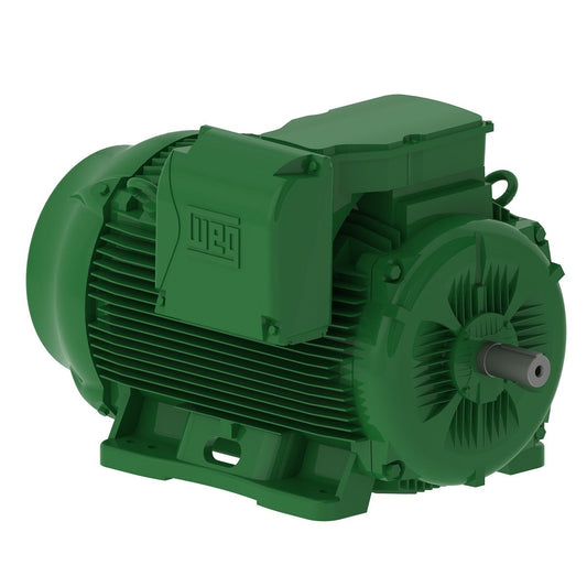 Weg W22 Motor