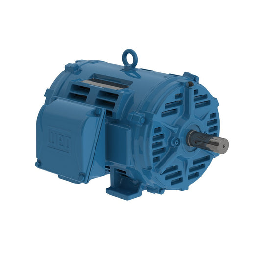 Weg W40 Motor