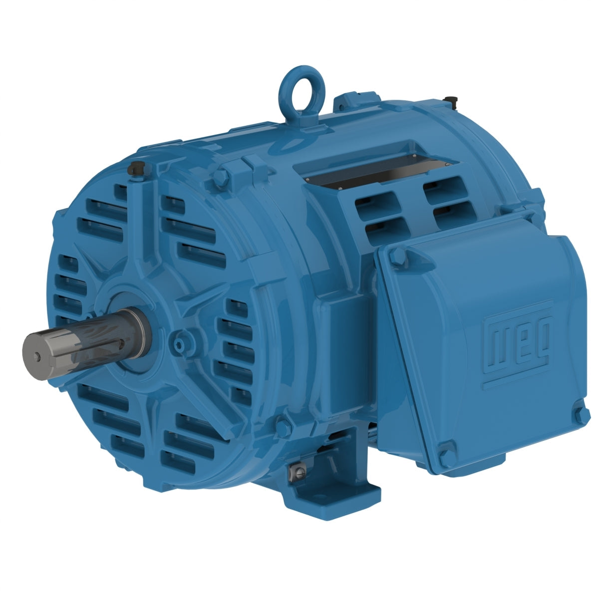 Weg W40 Motor