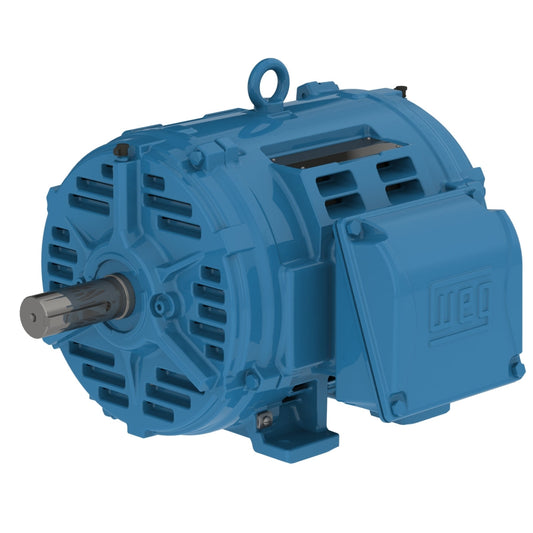 Weg W40 Motor