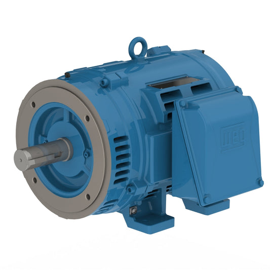 Weg W40 Motor
