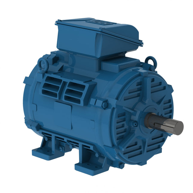 Weg W40 Motor