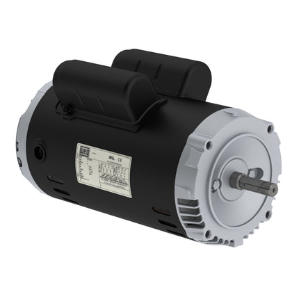 Weg Jet Pump Motor