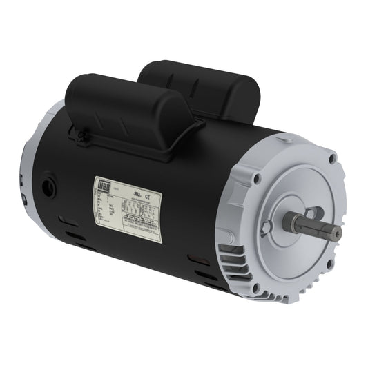 Weg Jet Pump Motor