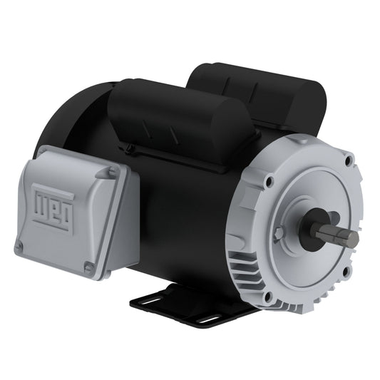Weg Jet Pump Motor