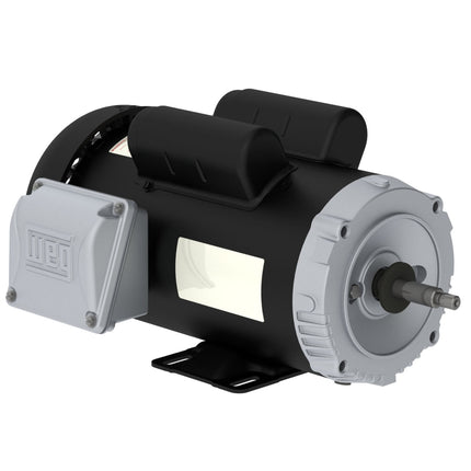 Weg Jet Pump Motor