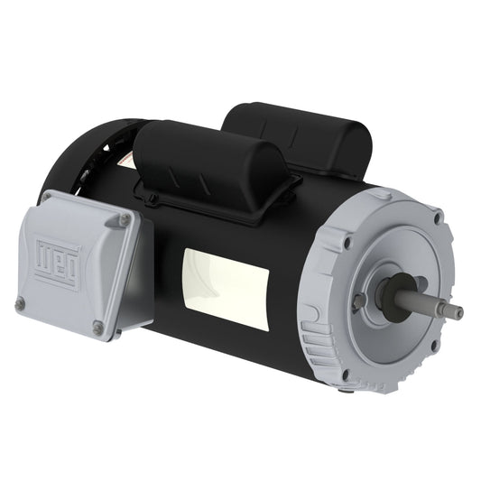 Weg Jet Pump Motor