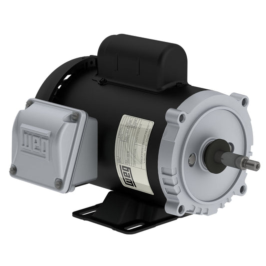 Weg Jet Pump Motor