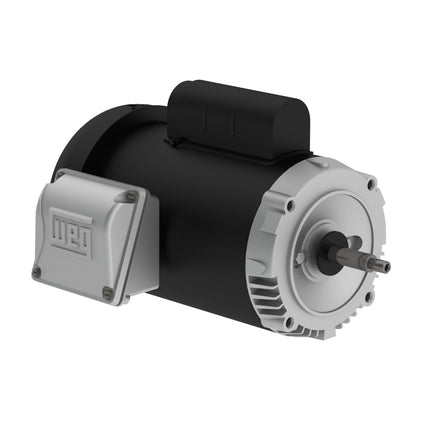 Weg Jet Pump Motor