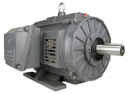 Techtop electric motor